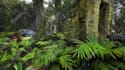 create professional 3d game environment and map design for unity, unreal engine