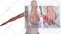 do custom 3d product, science and medical animation