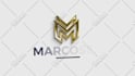 create a professional custom logo animation or intro videos