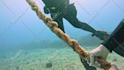 edit and retouch your underwater photos