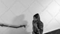 edit underground vfx music video