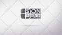do professional motion graphics ,logo animation video editing