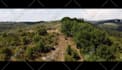 create realistic vfx and cgi for your video