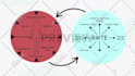create 2d animated marketing video for sales