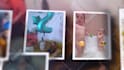 create a movie style happy birthday intro with slideshow