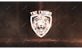 create a fabulous fire roar logo intro animation
