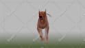 create 3d animations for games and media