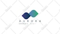 create professional custom logo animation