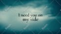 create professional custom 2d, 3d music lyric video animation
