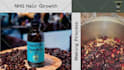 create luxury perfume promo video ads