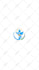 create splash screen logo animation in lottie json svg GIF