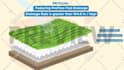 create a 2d animated explainer video or sales video