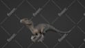 do modelling, rigging and animations for realistic dinosaurs