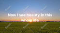 kinetic music lyric video, cinematic ai music video, music lyric, animated lyric