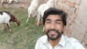 wish happy birthday and sing song with my goats