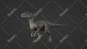 do modelling, rigging and animations for realistic dinosaurs