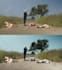 do color grading , color correction video as colorist
