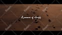 create your 4k cinematic movie style book trailer