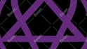 do anything in adobe after effects