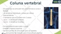 design dynamic  prezi ,powerpoint,google slides presentation