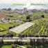 do real estate drone video with motion graphics