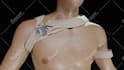 do professional 3d medical animation all fields