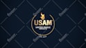 create a unique logo animation or animated intro video