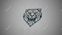 create professional logo animation for your brand or social media