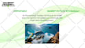 create amazing promo, short video ads for your business