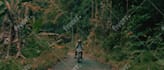 create and edit a stunning 8k stock music video