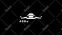 make custom fpv drone logo, intro outro and banner for you