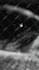 do chaotic music video for black, death metal and deathgrind