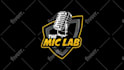 design professional podcast cover art or logo