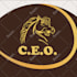 tailor made 2d logo animations for your brand
