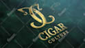 make elegant gold, silver logo animations for your brand