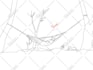 create a custom line drawing animation video for your brand