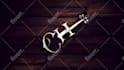 make logo animation vj loop background