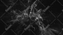 create a uniqe abstract 3d animated music video