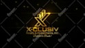 create professional custom logo animation within 24 hours