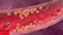 medical animation anatomy surgery biomedical animation medical oral implants vid