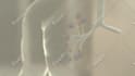 do 3d medical animation for a product or procedure