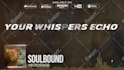 make an amazing audio or music visualizer with lyrics