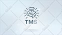 create a professional custom animation for your logo