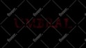 professional logo animation intro