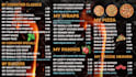 design digital menu board or animated TV menu for restaurant