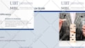 professionally design and format powerpoint presentations