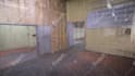 make video animations from point cloud, 3d model,2d cad