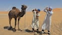 do tik tok dance, dance video, dance camel, group dance