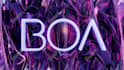 create 3d visuals for artists, djs and events