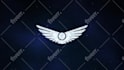 create premium custom 2d and 3d logo animation and video intro